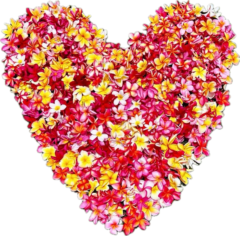 Heart-shaped arrangement of pink, yellow, and white flowers on a white background